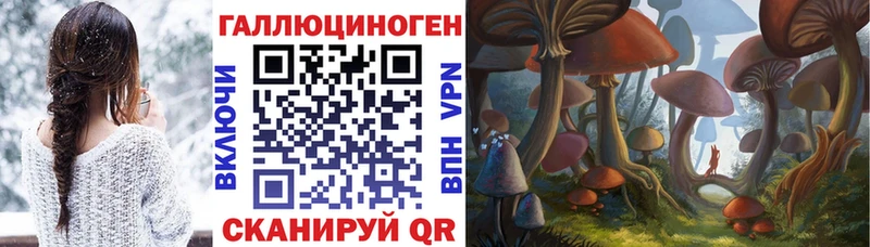 Псилоцибиновые грибы Cubensis  Ефремов 